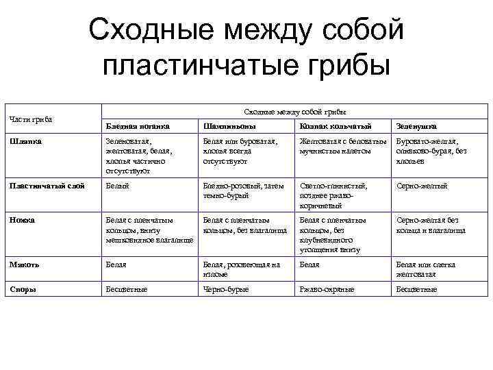  Сходные между собой пластинчатые грибы Сходные между собой грибы Части гриба Бледная поганка