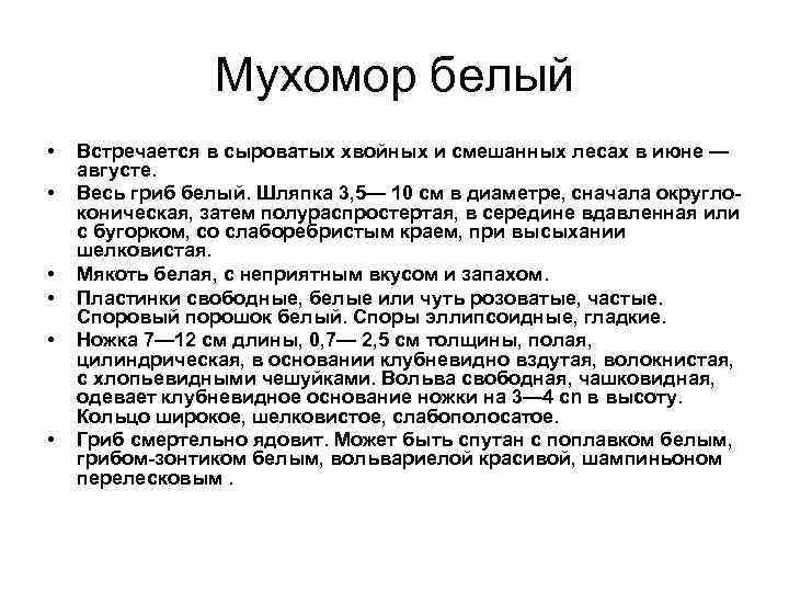  Мухомор белый • Встречается в сыроватых хвойных и смешанных лесах в июне —