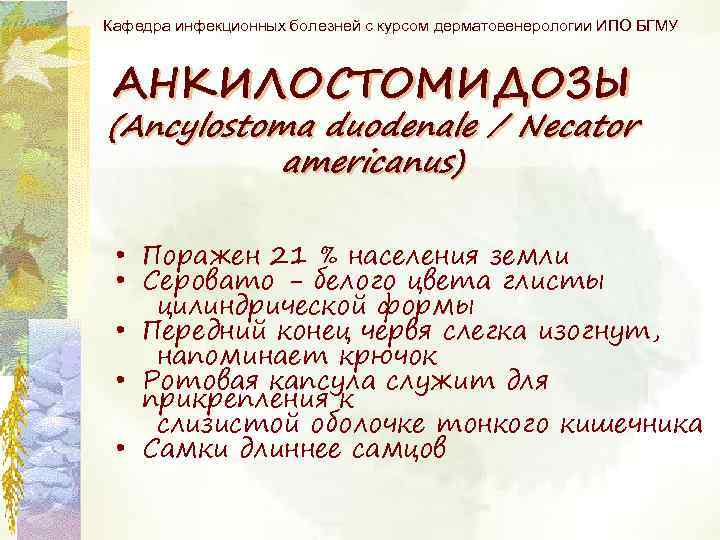 Кафедра инфекционных болезней с курсом дерматовенерологии ИПО БГМУ АНКИЛОСТОМИДОЗЫ (Ancylostoma duodenale / Necator americanus)