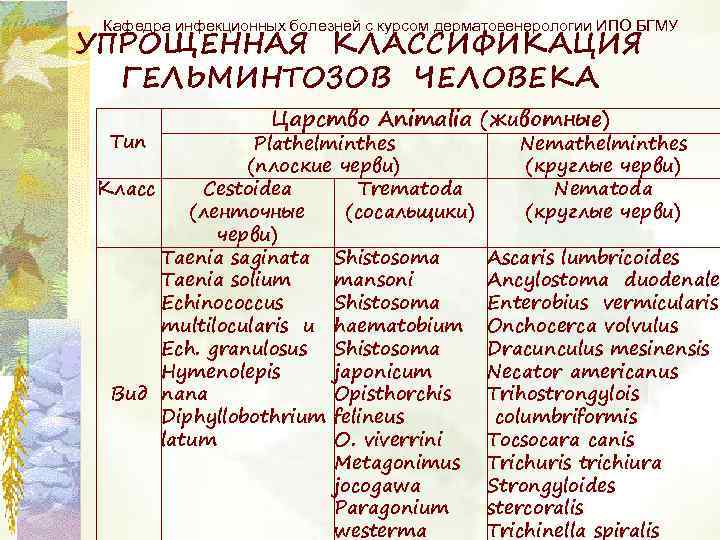 Кафедра инфекционных болезней с курсом дерматовенерологии ИПО БГМУ УПРОЩЕННАЯ КЛАССИФИКАЦИЯ ГЕЛЬМИНТОЗОВ ЧЕЛОВЕКА Тип Царство