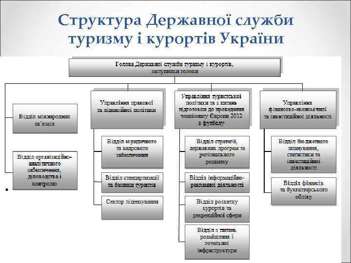 Структура Державної служби туризму і курортів України 31 