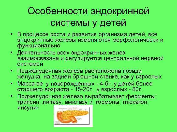 Особенности эндокринной системы у детей • В процессе роста и развития организма детей, все