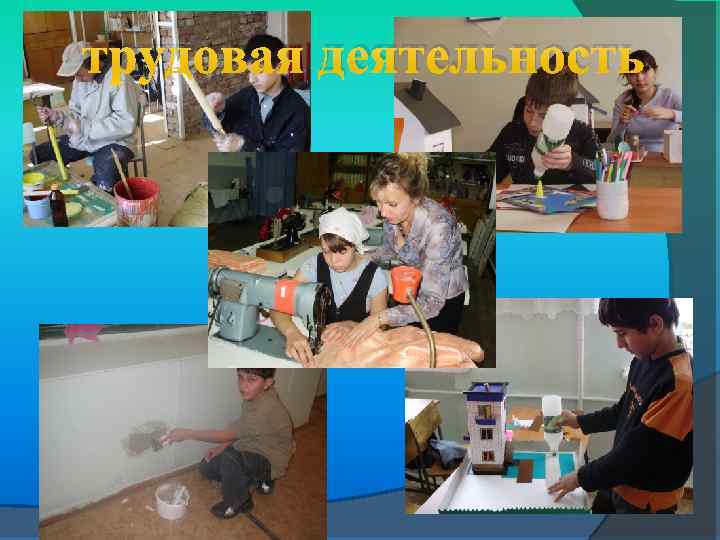 трудовая деятельность 