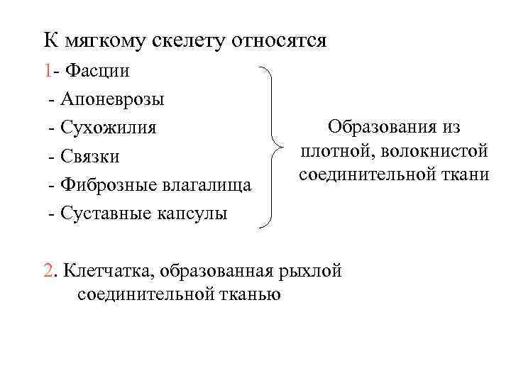 К мягкому скелету относятся 1 - Фасции - Апоневрозы - Сухожилия Образования из -