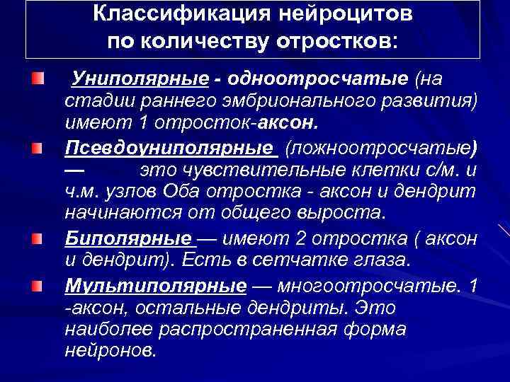 Классификация нейроцитов по количеству отростков: Униполярные - одноотросчатые (на стадии раннего эмбрионального развития) имеют