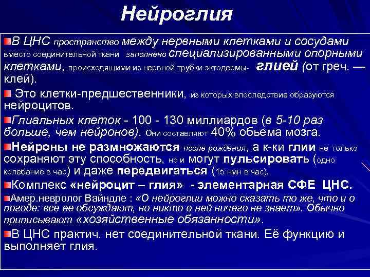 Нейроглия В ЦНС пространство между нервными клетками и сосудами вместо соединительной ткани заполнено специализированными