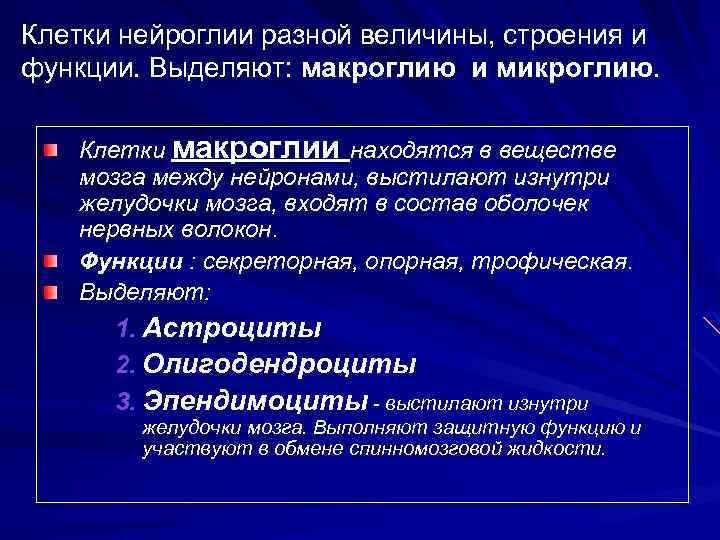 Клетки нейроглии разной величины, строения и функции. Выделяют: макроглию и микроглию. Клетки макроглии находятся