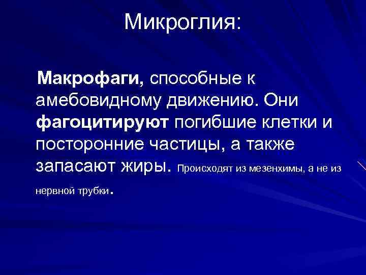 Микроглия: Макрофаги, способные к амебовидному движению. Они фагоцитируют погибшие клетки и посторонние частицы, а