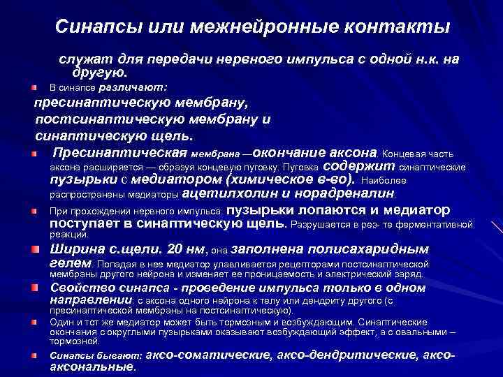 Синапсы или межнейронные контакты служат для передачи нервного импульса с одной н. к. на