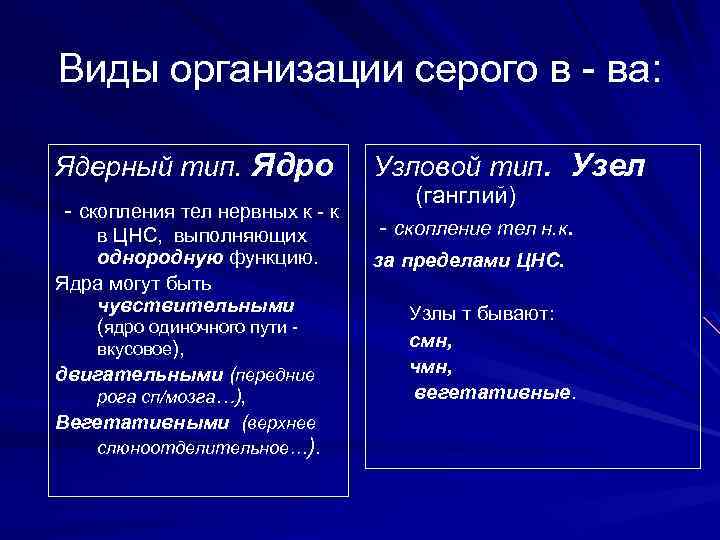 Виды организации серого в - ва: Ядерный тип. Ядро - скопления тел нервных к