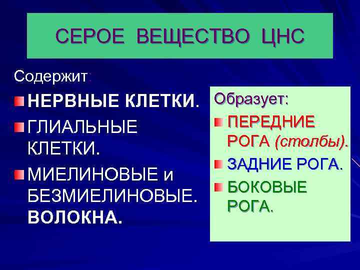 СЕРОЕ ВЕЩЕСТВО ЦНС Содержит: НЕРВНЫЕ КЛЕТКИ. Образует: ПЕРЕДНИЕ ГЛИАЛЬНЫЕ РОГА (столбы). КЛЕТКИ. ЗАДНИЕ РОГА.