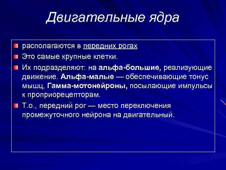 Двигательные ядра располагаются в передних рогах Это самые крупные клетки. Их подразделяют: на альфа-большие,