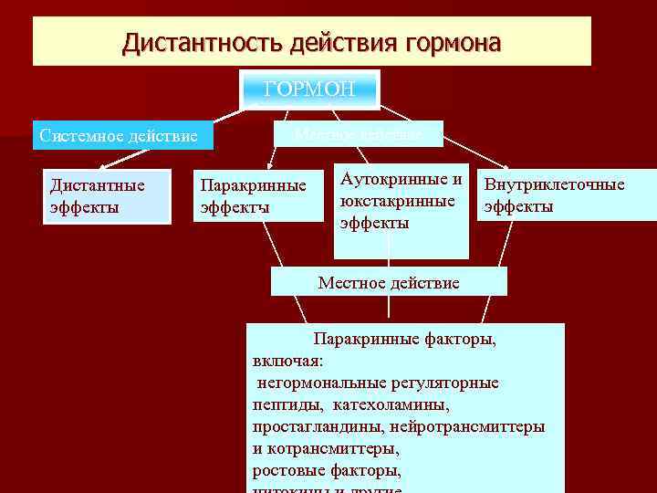 Дистантность действия гормона ГОРМОН Системное действие Дистантные эффекты Местное действие Паракринные эффекты Аутокринные и