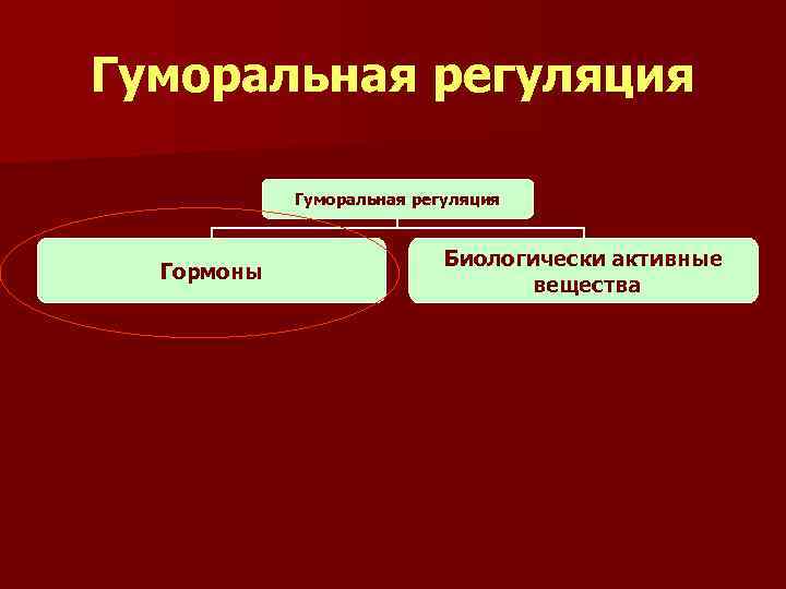 Гуморальная регуляция Гормоны Биологически активные вещества 