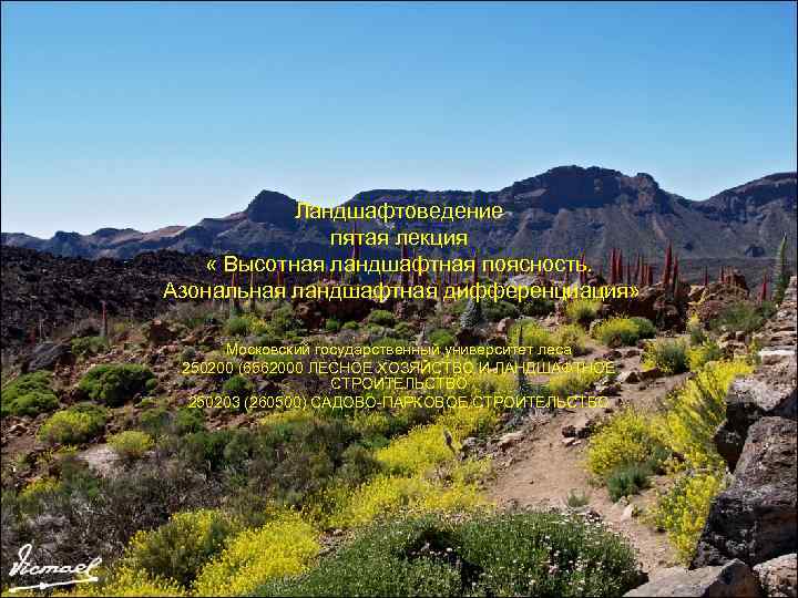 Ландшафтоведение пятая лекция « Высотная ландшафтная поясность. Азональная ландшафтная дифференциация» Московский государственный университет леса
