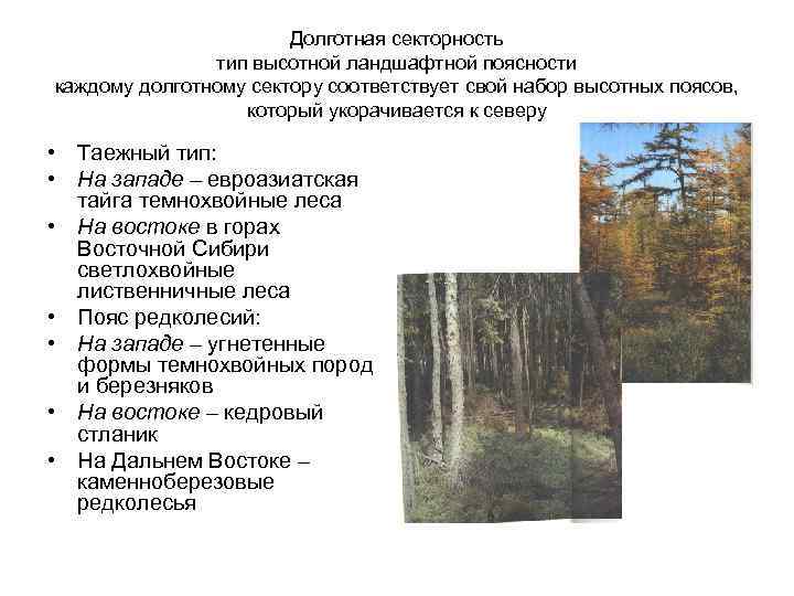 Долготная секторность тип высотной ландшафтной поясности каждому долготному сектору соответствует свой набор высотных поясов,