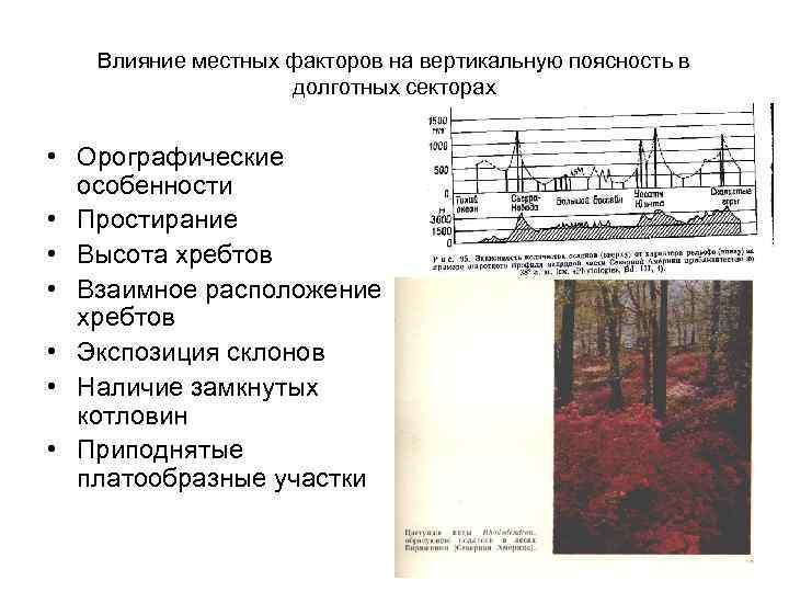 Влияние местных факторов на вертикальную поясность в долготных секторах • Орографические особенности • Простирание