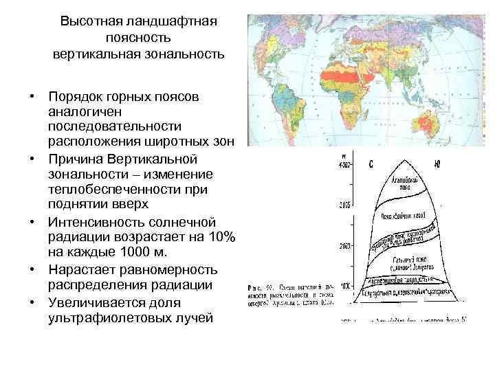 Высотная ландшафтная поясность вертикальная зональность • Порядок горных поясов аналогичен последовательности расположения широтных зон