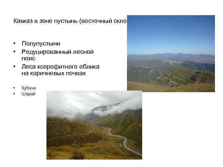 Кавказ в зоне пустынь (восточный склон) • Полупустыни • Редуцированный лесной пояс • Леса