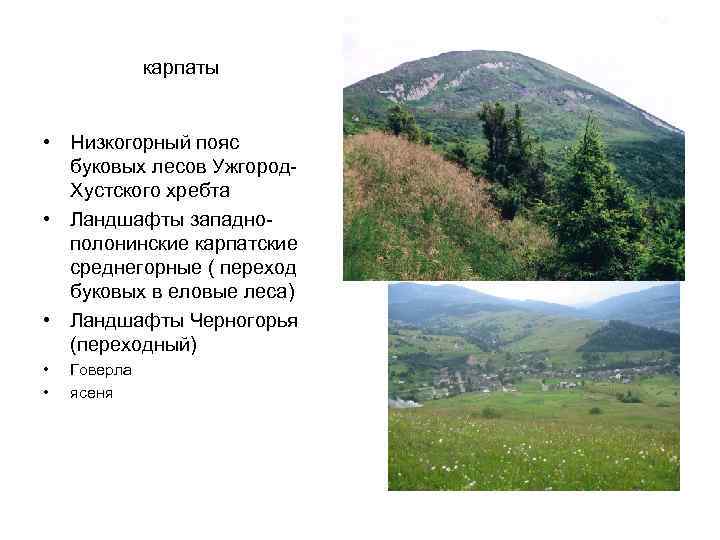 карпаты • Низкогорный пояс буковых лесов Ужгород. Хустского хребта • Ландшафты западнополонинские карпатские среднегорные