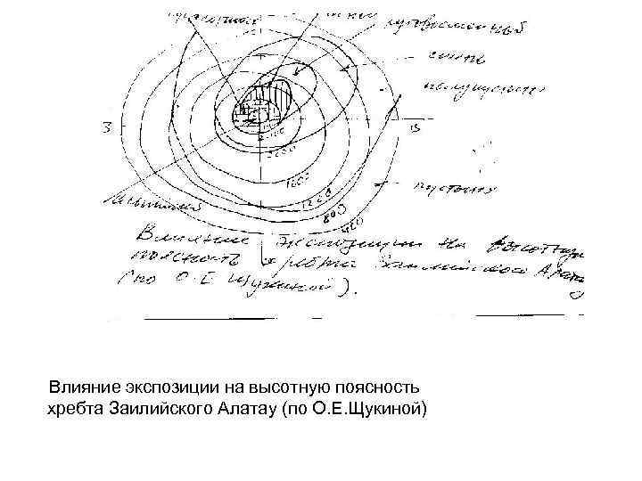 Влияние экспозиции на высотную поясность хребта Заилийского Алатау (по О. Е. Щукиной) 