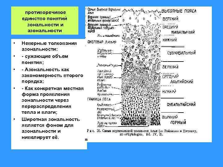 противоречивое единство понятий зональности и азональности • • • Неверные толкования азональности: - сужающие