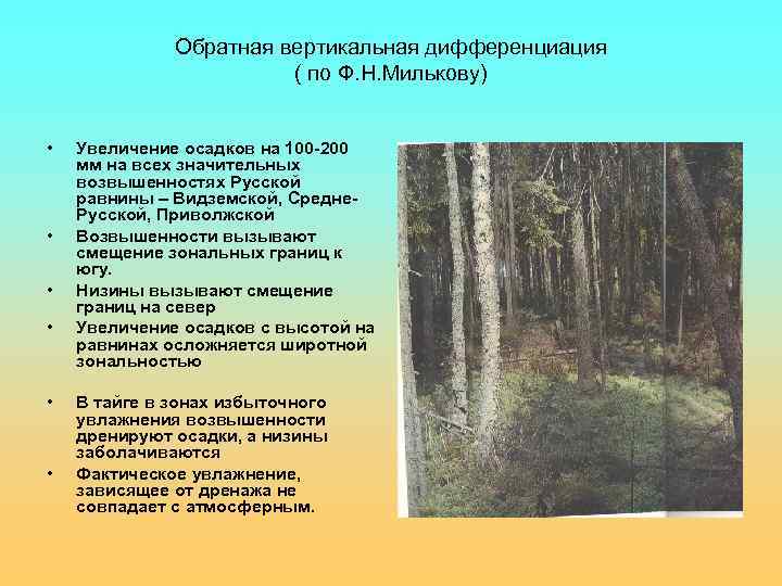 Обратная вертикальная дифференциация ( по Ф. Н. Милькову) • • • Увеличение осадков на