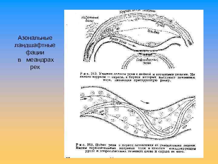 Азональные ландшафтные фации в меандрах рек 