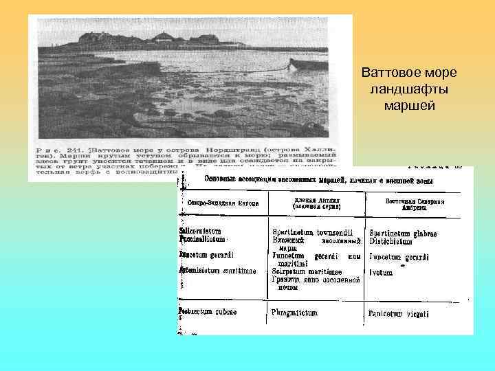 Ваттовое море ландшафты маршей 