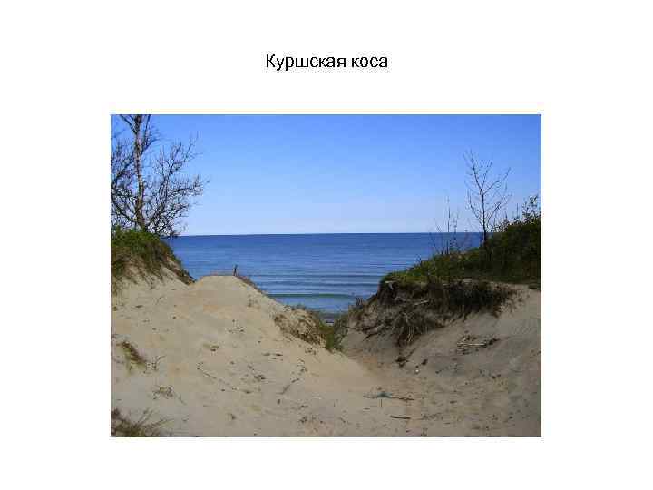 Куршская коса 