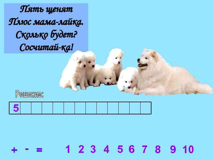 Пять щенят Плюс мама-лайка. Сколько будет? Сосчитай-ка! 5 + - = 1 2 3