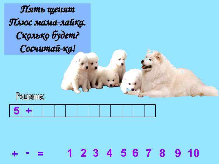Пять щенят Плюс мама-лайка. Сколько будет? Сосчитай-ка! 5 + + - = 1 2