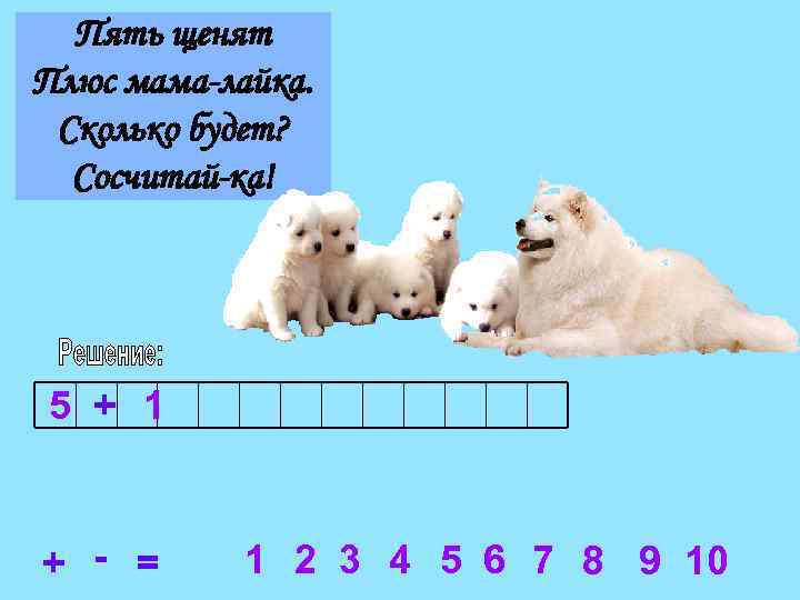 Пять щенят Плюс мама-лайка. Сколько будет? Сосчитай-ка! 5 + 1 + - = 1
