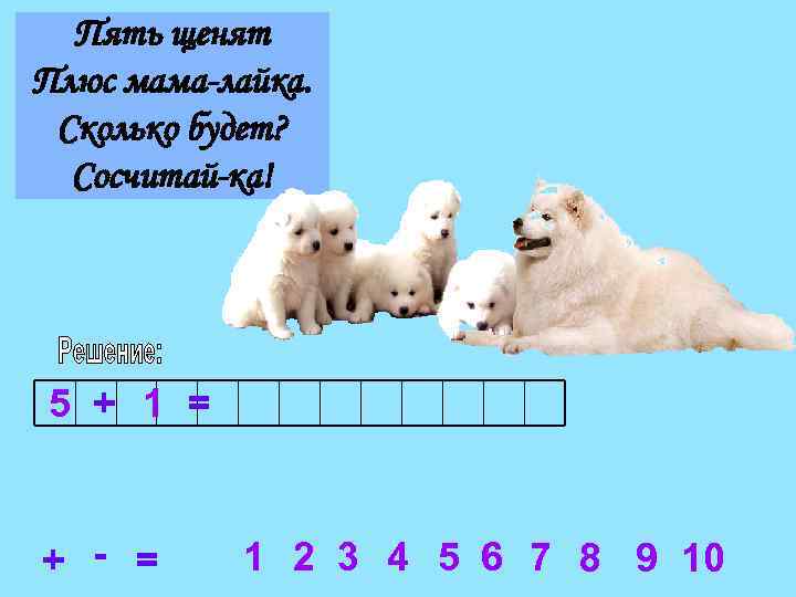 Пять щенят Плюс мама-лайка. Сколько будет? Сосчитай-ка! 5 + 1 = + - =