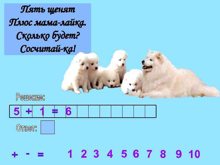 Пять щенят Плюс мама-лайка. Сколько будет? Сосчитай-ка! 5 + 1 = 6 + -