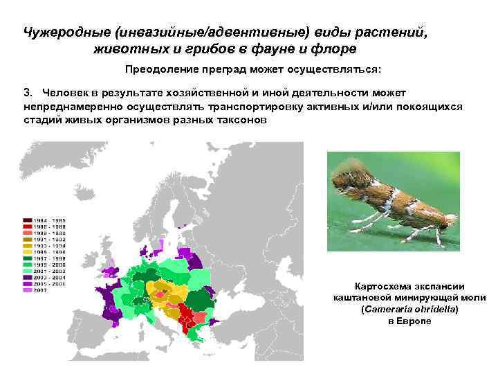 Чужеродные (инвазийные/адвентивные) виды растений, животных и грибов в фауне и флоре Преодоление преград может