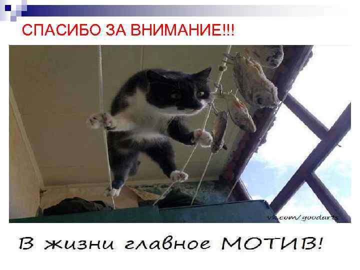 СПАСИБО ЗА ВНИМАНИЕ!!! 