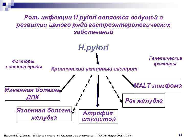 Роль инфекции Н. рylori является ведущей в развитии целого ряда гастроэнтерологических заболеваний Н. рylori