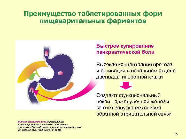Преимущество таблетированных форм пищеварительных ферментов Быстрое купирование панкреатической боли Высокая концентрация протеаз и активация