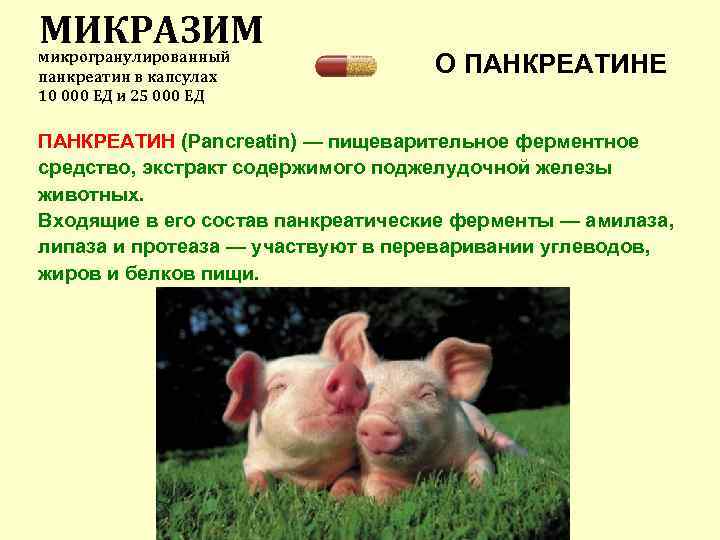 МИКРАЗИМ микрогранулированный панкреатин в капсулах 10 000 ЕД и 25 000 ЕД О ПАНКРЕАТИНЕ