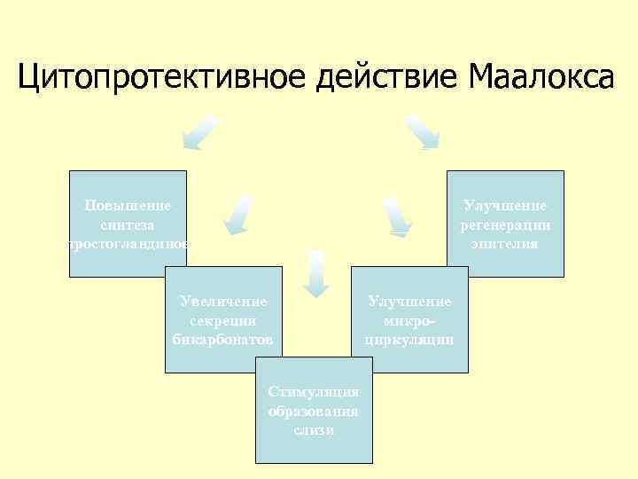 Цитопротективное действие Маалокса Повышение синтеза простогландинов Улучшение регенерации эпителия Увеличение секреции бикарбонатов Стимуляция образования