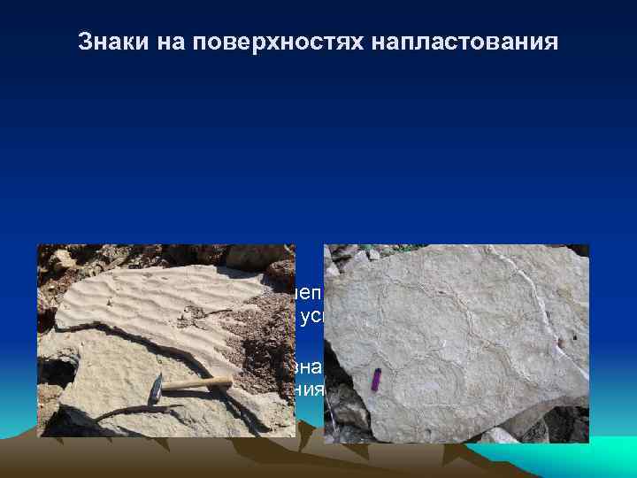 Знаки на поверхностях напластования • Подошвенные знаки: слепки выемок, следы выпахивания, трещины усыхания, текстуры