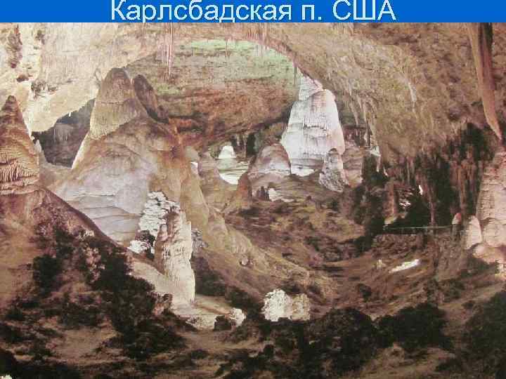 Карлсбадская п. США 