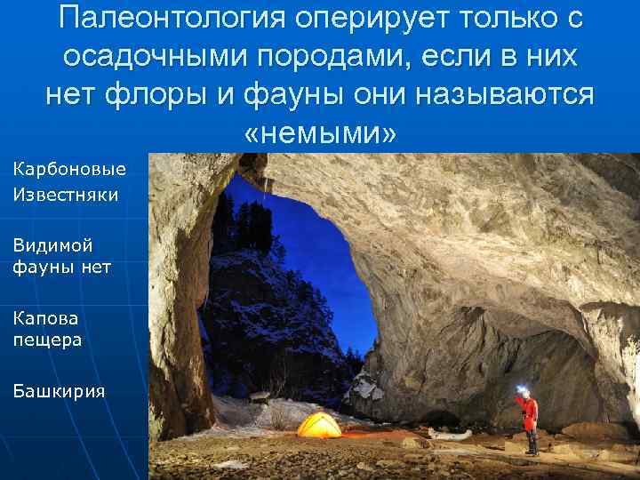 Палеонтология оперирует только с осадочными породами, если в них нет флоры и фауны они