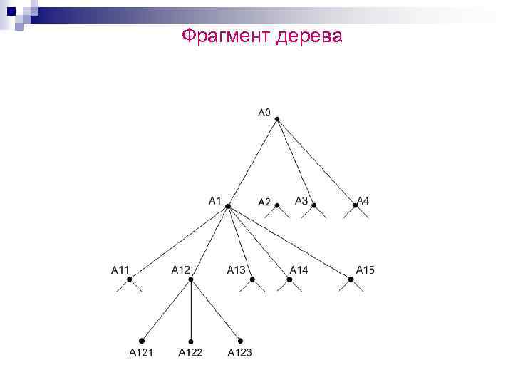 Фрагмент дерева 