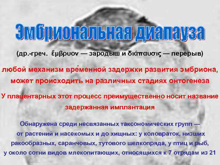 (др. -греч. ἔμβρυον — зародыш и διάπαυσις — перерыв) любой механизм вре менной задержки