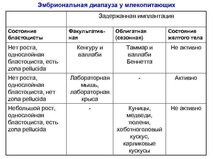 Эмбриональная диапауза у млекопитающих Задержанная имплантация Состояние бластоцисты Факультативная Облигатная (сезонная) Состояние желтого тела