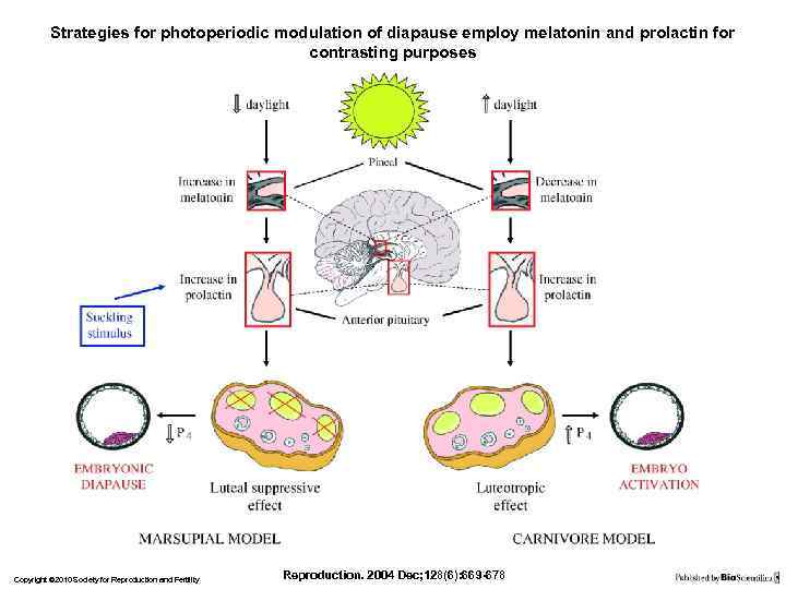 Strategies for photoperiodic modulation of diapause employ melatonin and prolactin for contrasting purposes Copyright