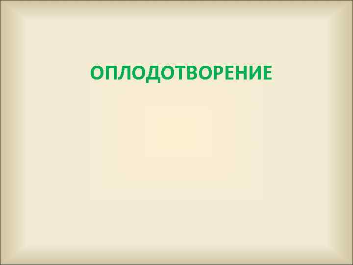 ОПЛОДОТВОРЕНИЕ 