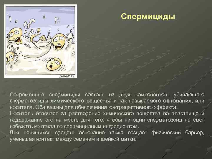 Спермициды Современные спермициды состоят из двух компонентов: убивающего сперматозоиды химического вещества и так называемого